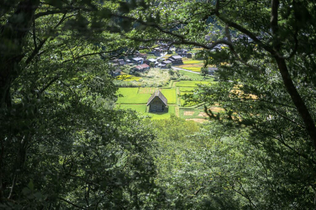 a small house in the middle of a forest