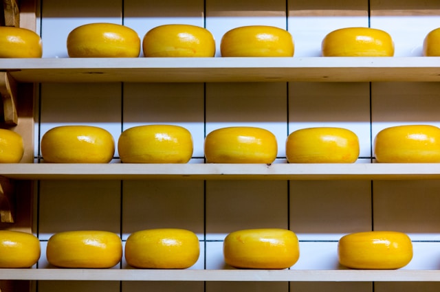 美味しそうなチーズ棚