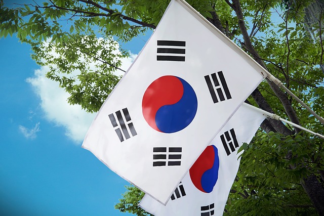 対策KW「韓国の国旗」