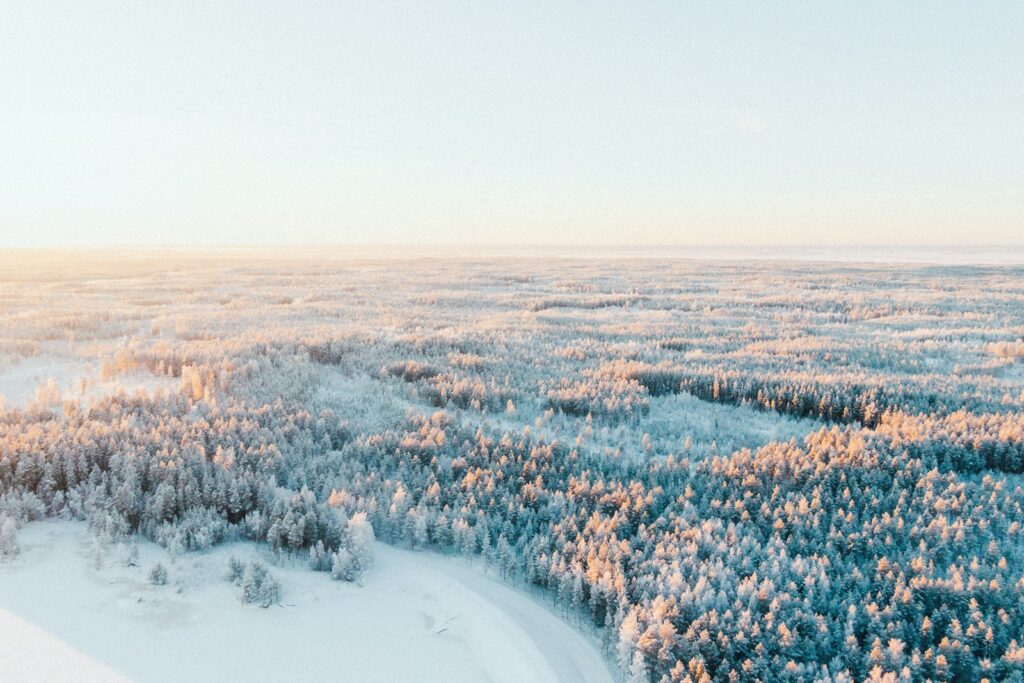フィンランドの森の雪景色