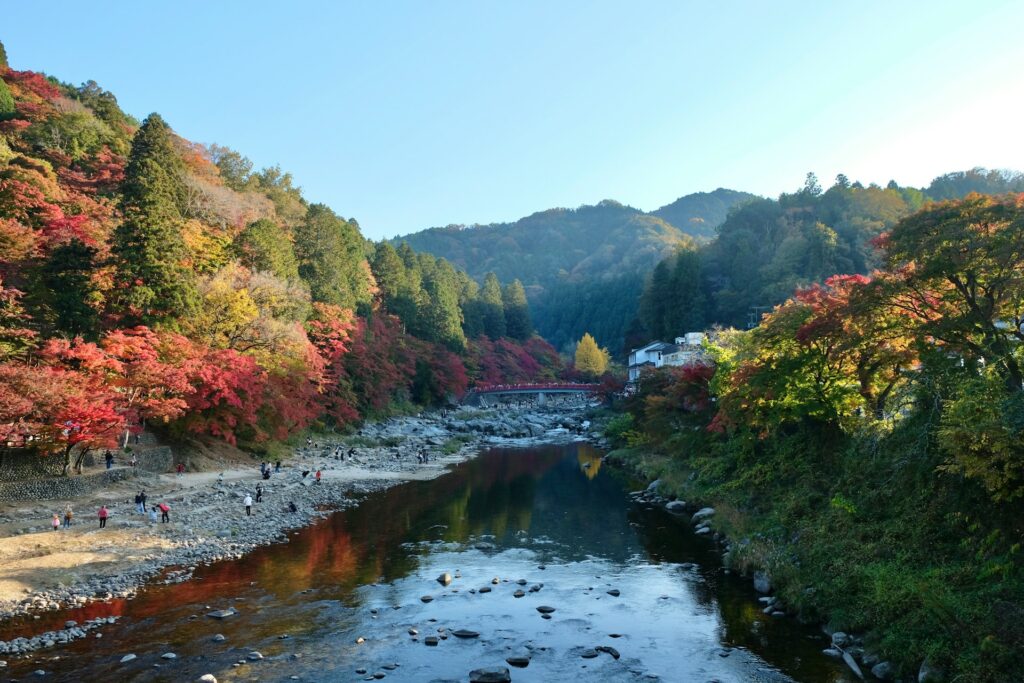 自然と文化を満喫する名古屋の名所を堪能！