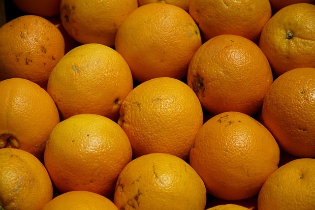 9月の能古島観光で食べたい柑橘類