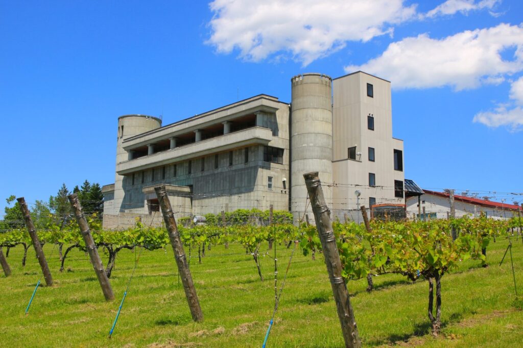 北海道にある池田ワイン城とブドウ畑
