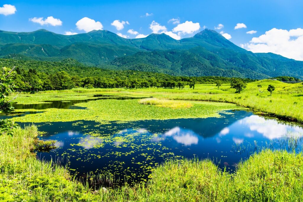 夏の北海道観光で知床の自然を満喫