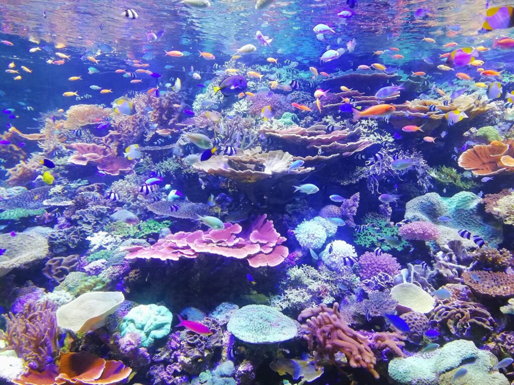 名古屋の水族館イメージ