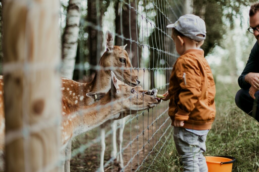 ケルンの動物園で楽しむ親子のイメージ