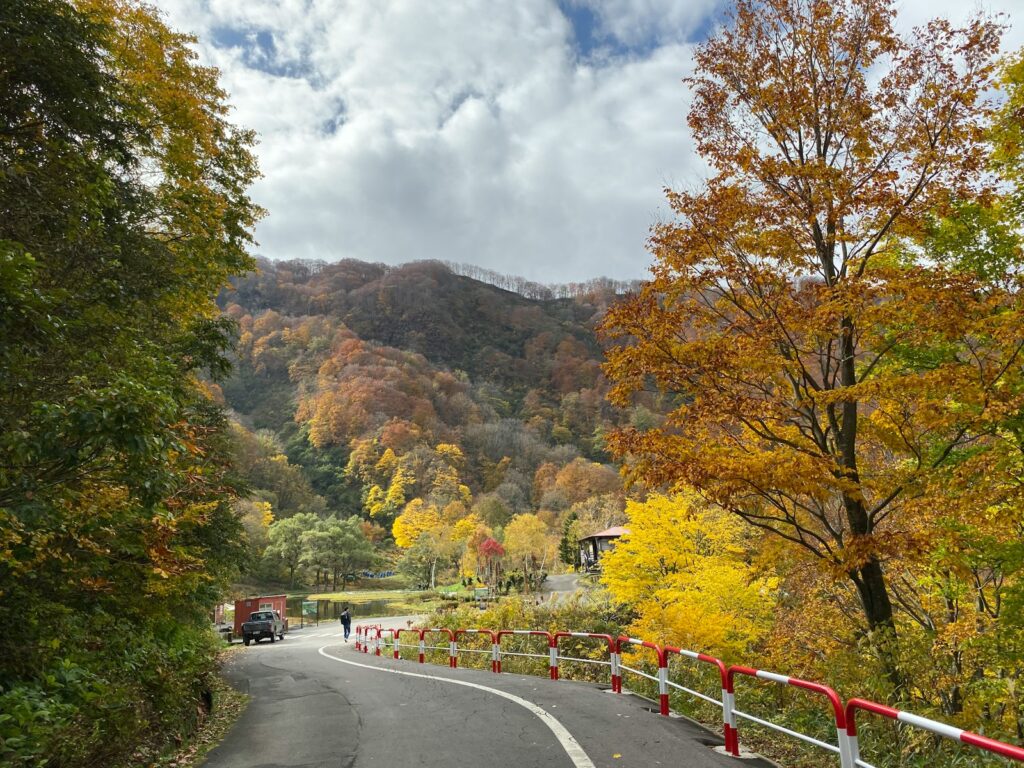 湯沢高原の自然を満喫