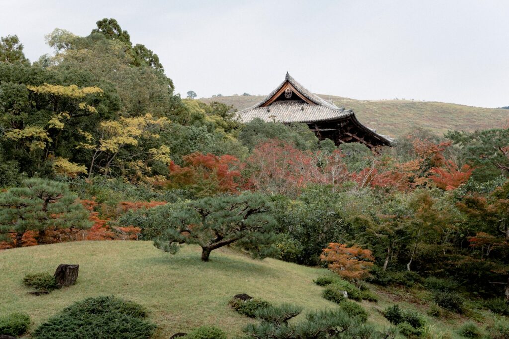 奈良の観光で見たい依水園
