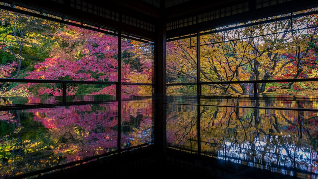 瑠璃光院の鮮やかな花景色