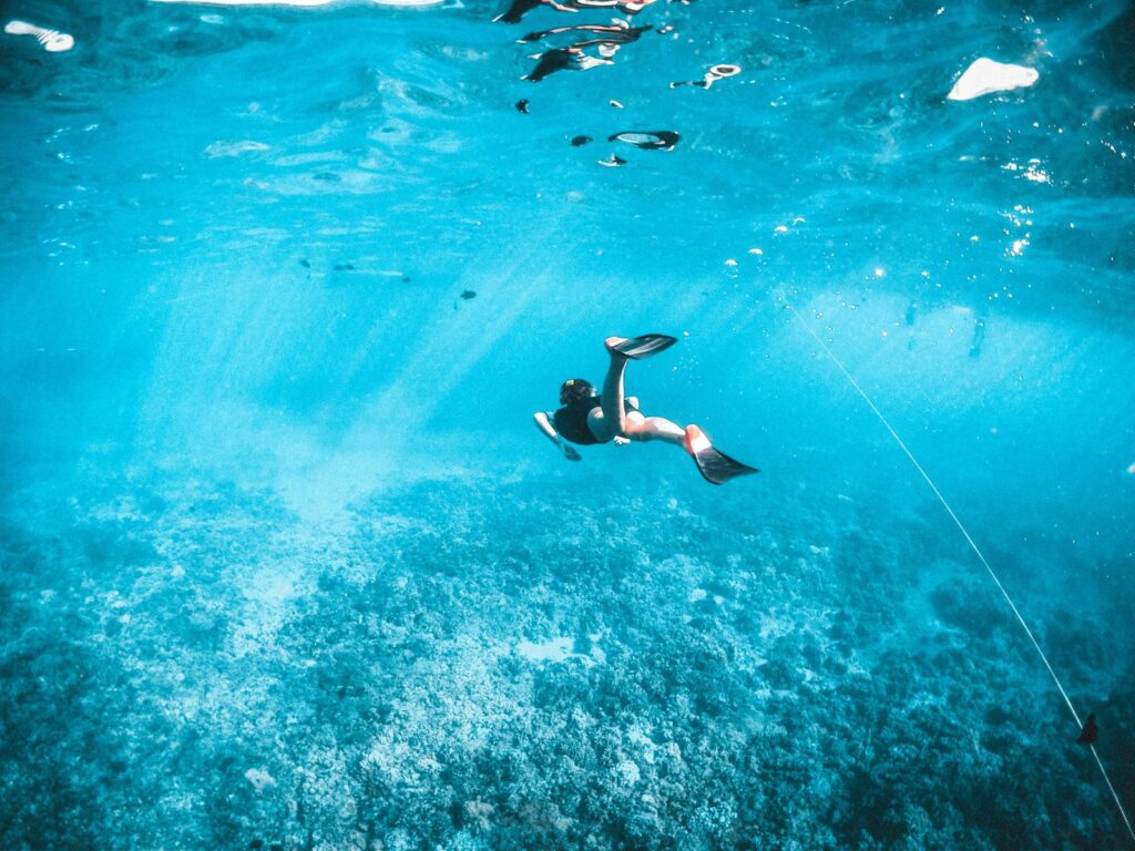 ゴールドコーストの海の中のイメージ