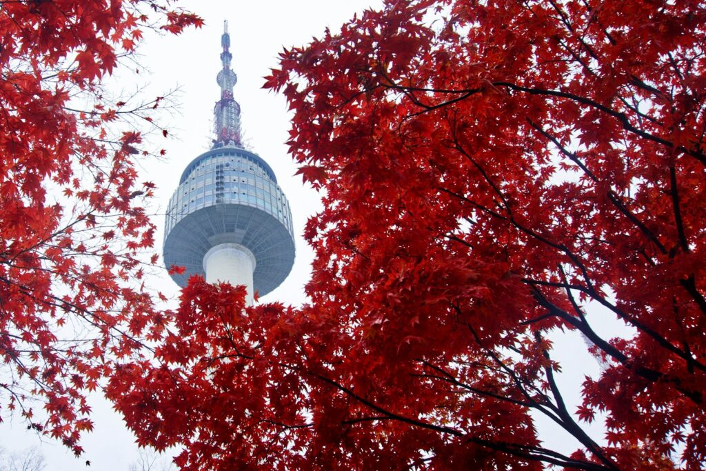 Nソウルタワーで紅葉や桜を満喫