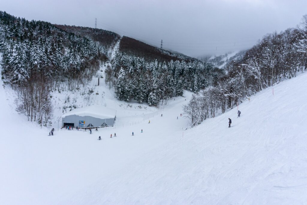 北海道ルスツのスキー画像