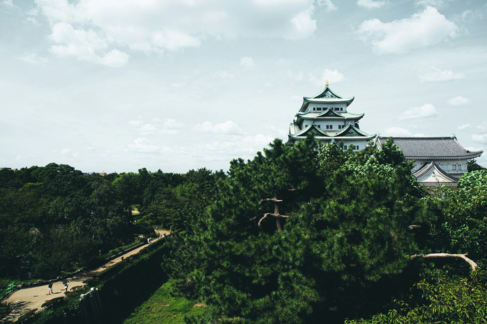 遠くから見た名古屋城