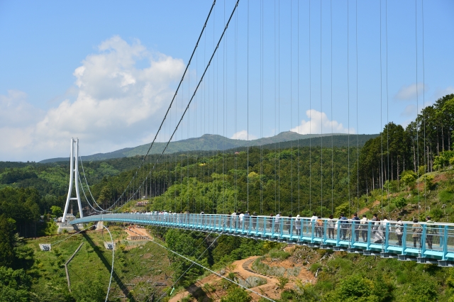 三島スカイウォークの吊り橋