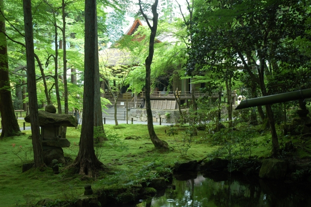 緑豊かな京都三千院