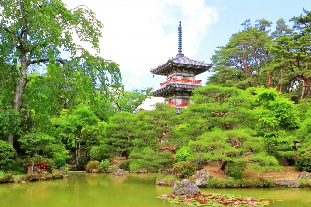 仙台輪王寺が楽しめる風景