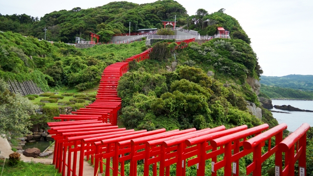 日本海を背景に連なる赤い鳥居が圧巻の山口県元乃隅神社