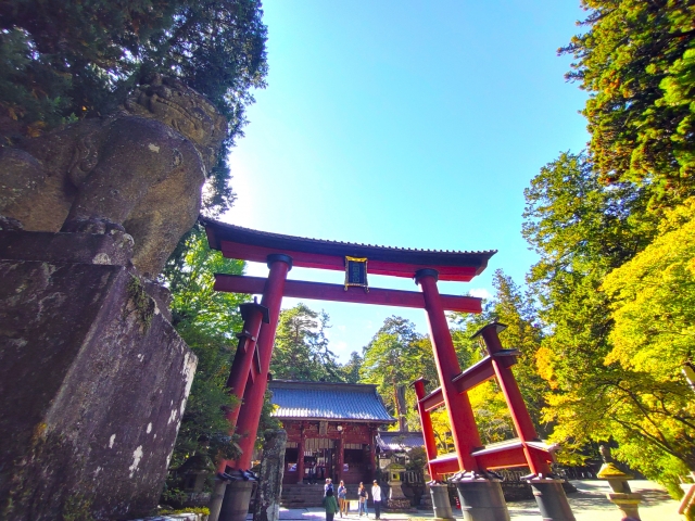 富士山の北側に位置する歴史ある神社/北口本宮冨士浅間神社