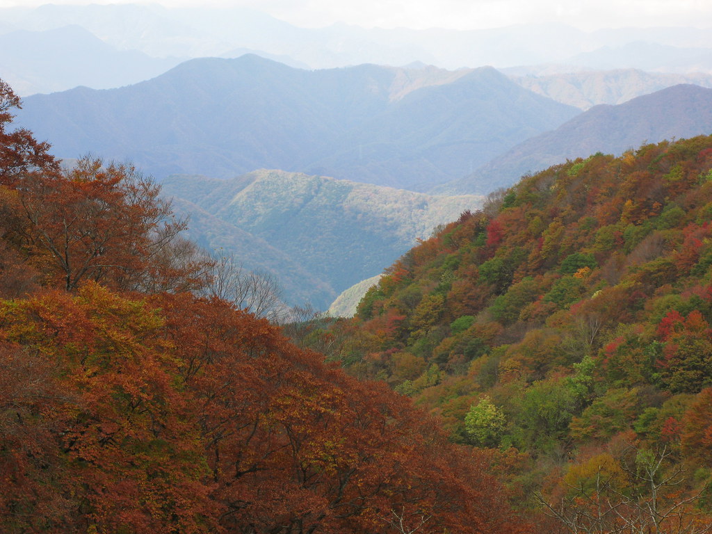 湯西川の自然を思う存分楽しむ