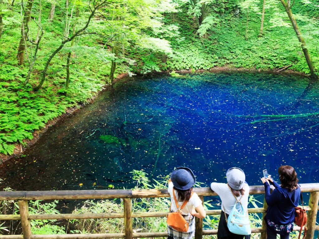 白神山地の青い池と観光客