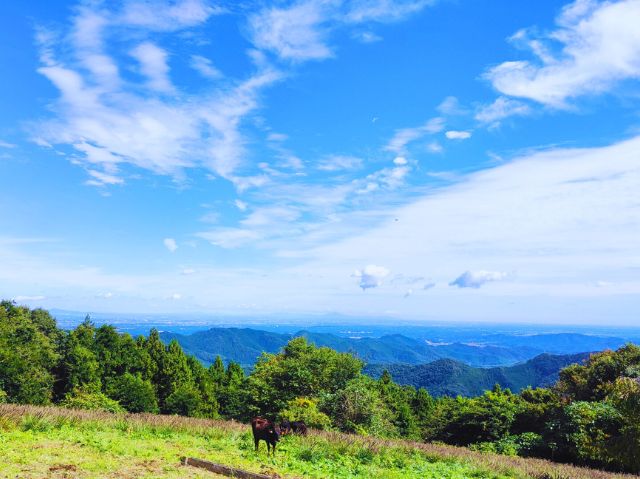 青い空と草原が広がる秩父高原