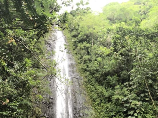 マノア滝の絶景