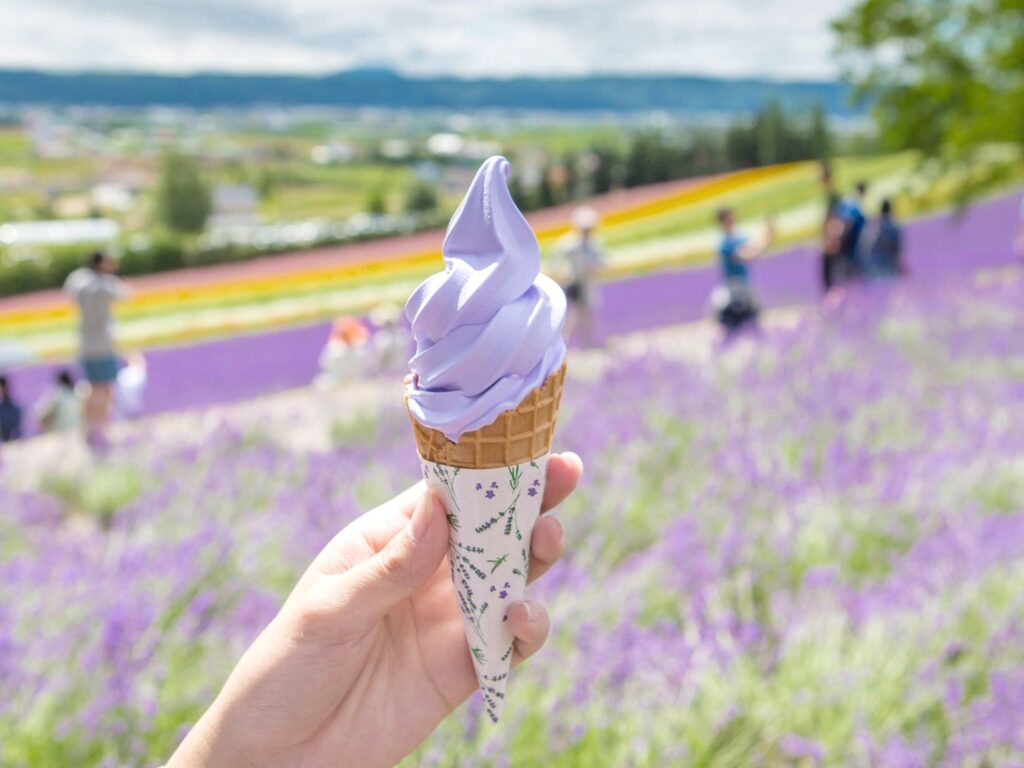 北海道 富良野 中富良野町営ラベンダー園のラベンダーソフトクリーム