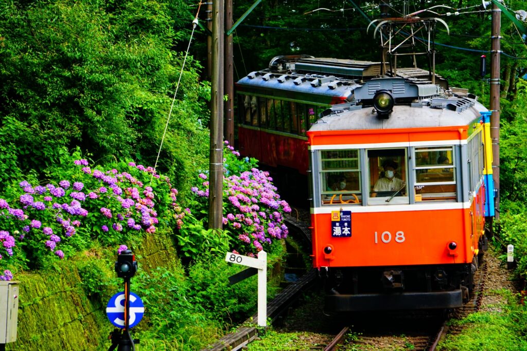 カーブを曲がる箱根登山鉄道