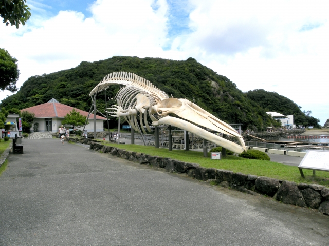 子供から大人まで楽しめる太地町立くじらの博物館の屋外展示