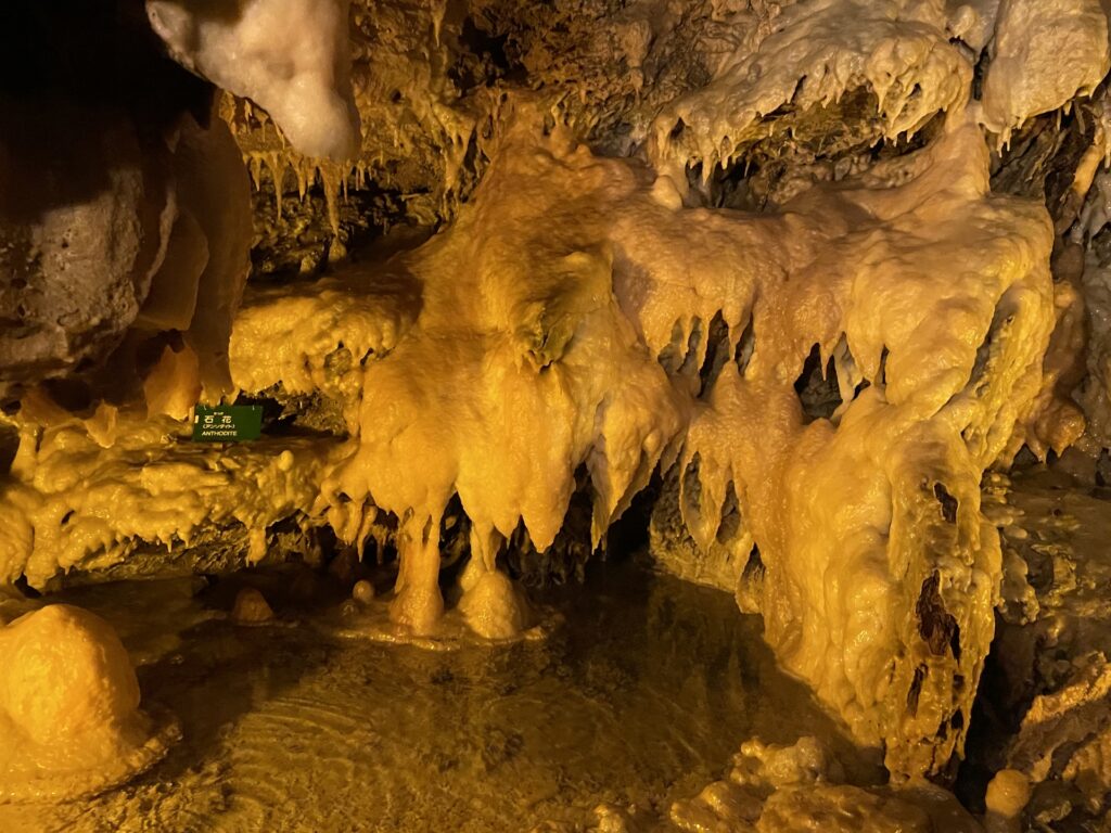 自然の神秘を感じる浜松の竜ヶ岩洞の鍾乳洞