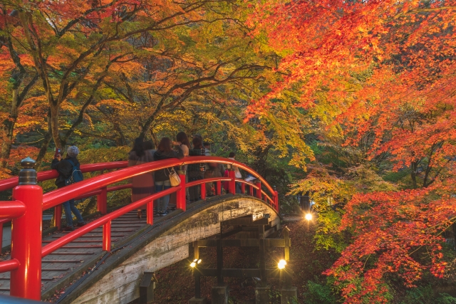 ライトアップされた群馬県の河鹿橋