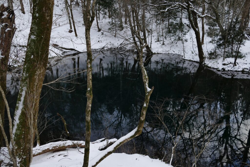 冬の白神山地沸壺の池と雪景色