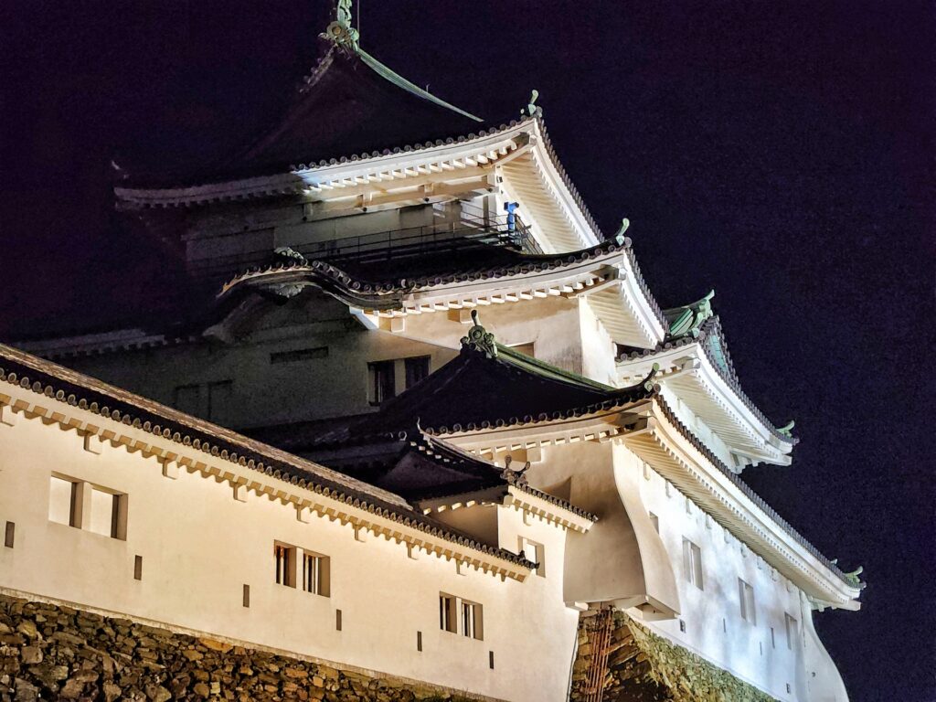 下から見上げる夜の和歌山城