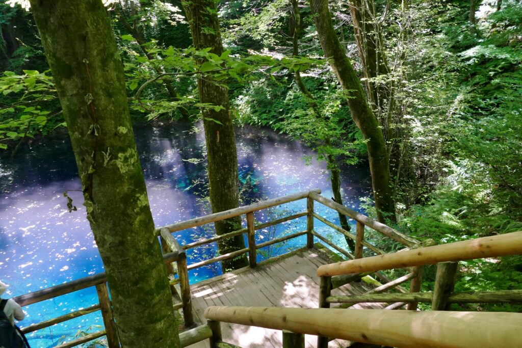 青く澄んだ白神山地の青池