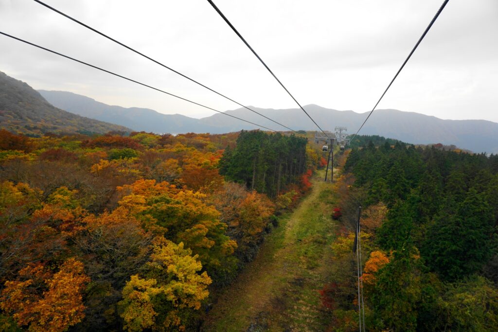 11月の神奈川観光でおすすめ、箱根ロープウェイから見る紅葉