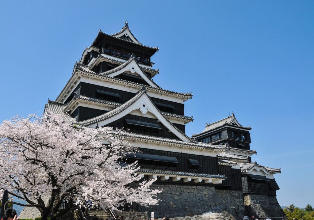 郡上八幡城とともに桜も観賞