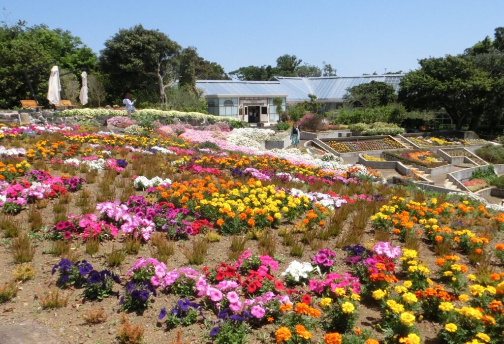 フラワーガーデンの花々