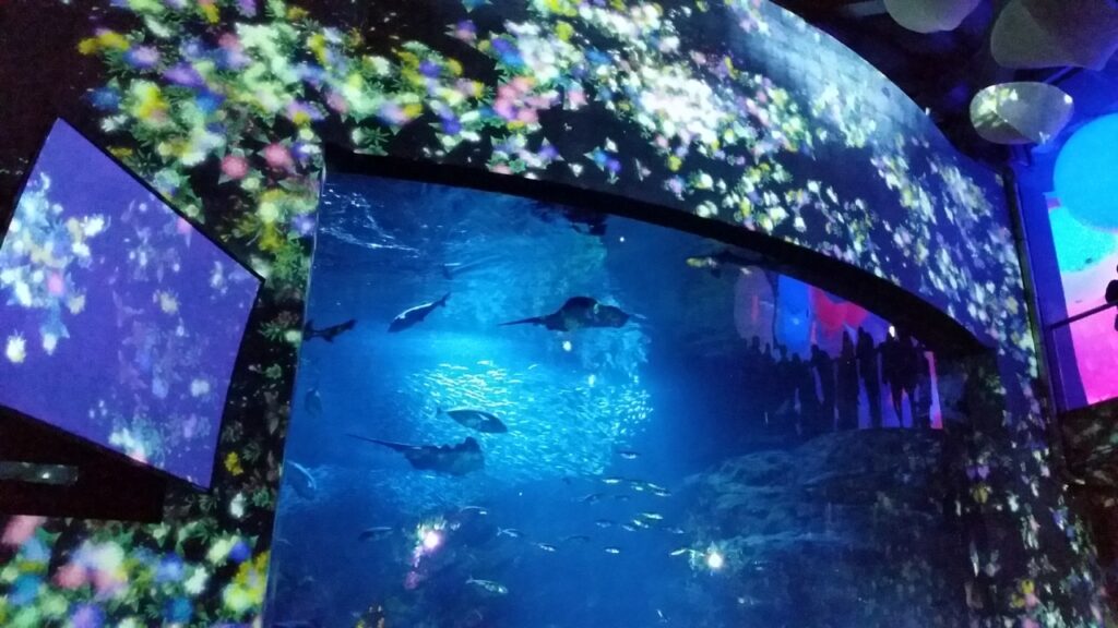 新江ノ島水族館の水槽