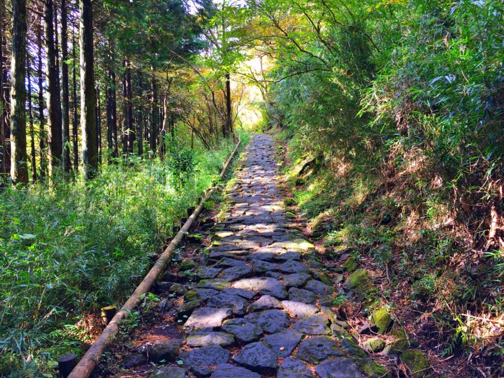 箱根旧街道石畳