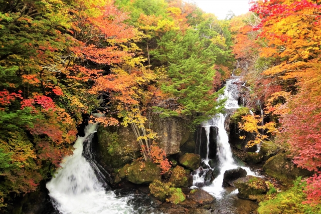 奥日光にある竜頭の滝の紅葉