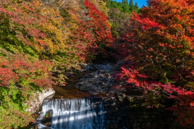 高知の観光スポット、紅葉の黒尊渓谷