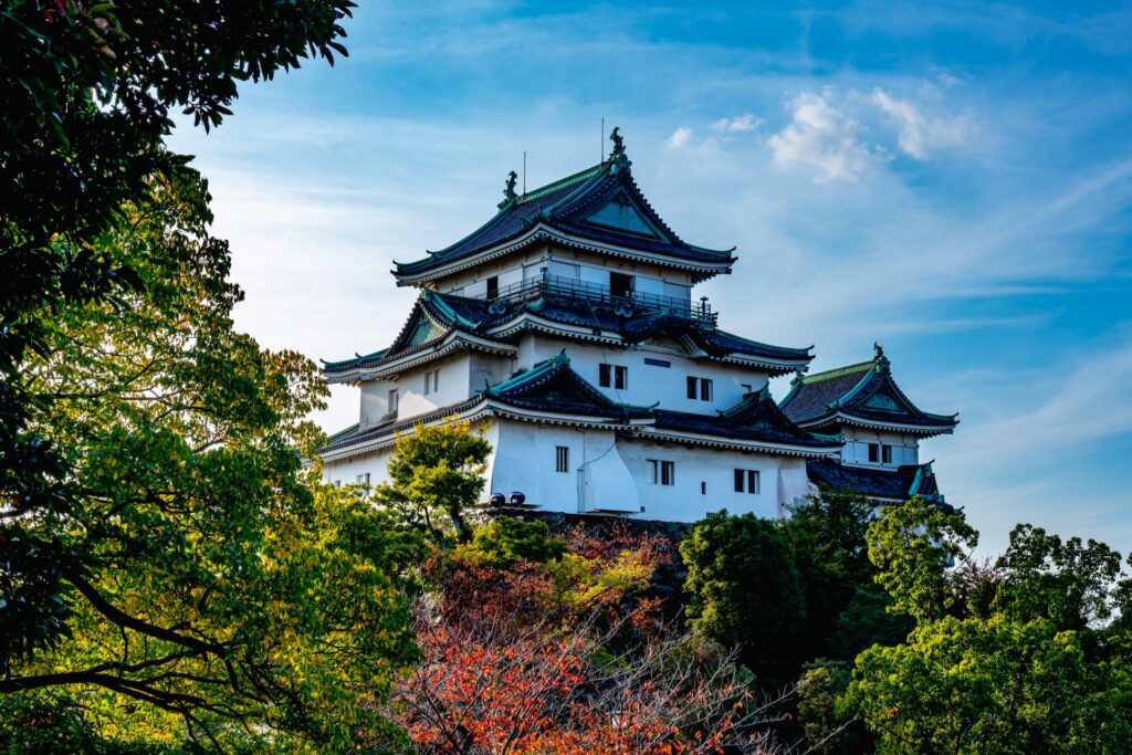 迫力ある和歌山城