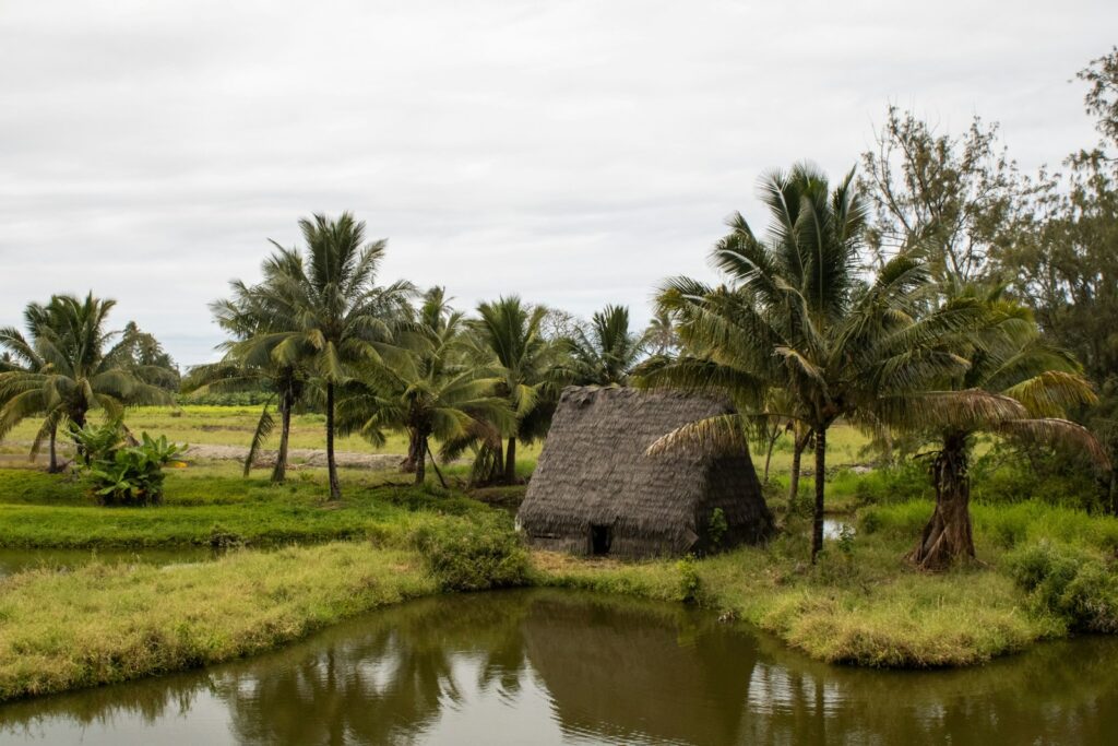 A small pond surrounded by palm trees and a hut