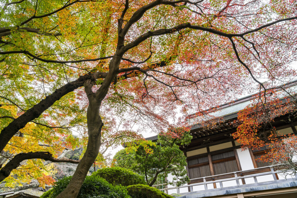 神奈川の鎌倉にある報国寺への行き方の画像イメージ1