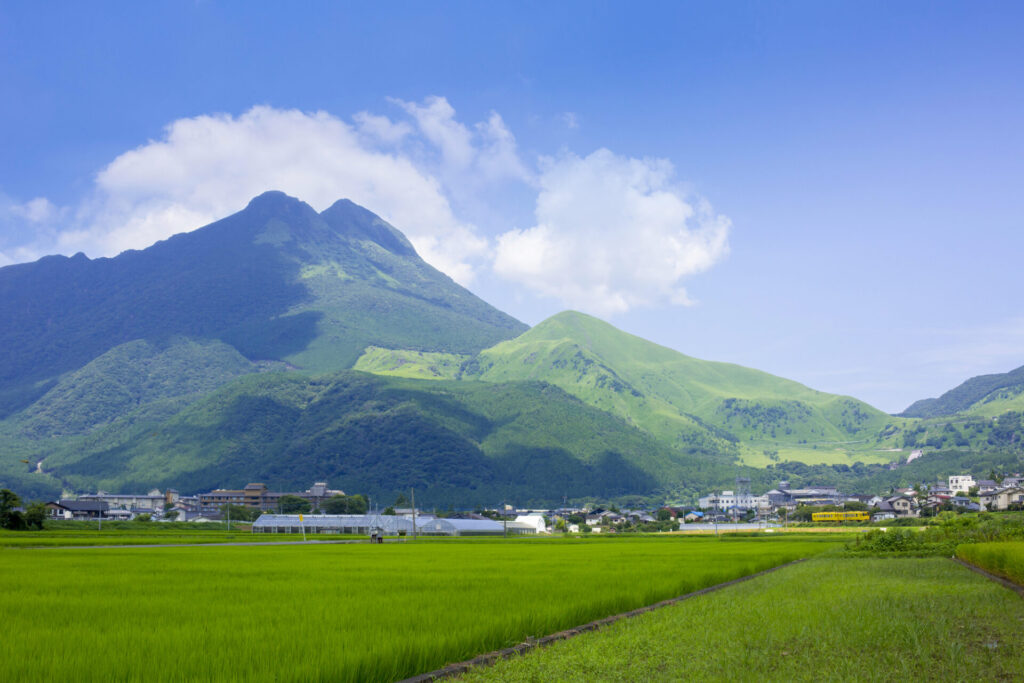 大自然が広がる由布岳と澄んだ青空