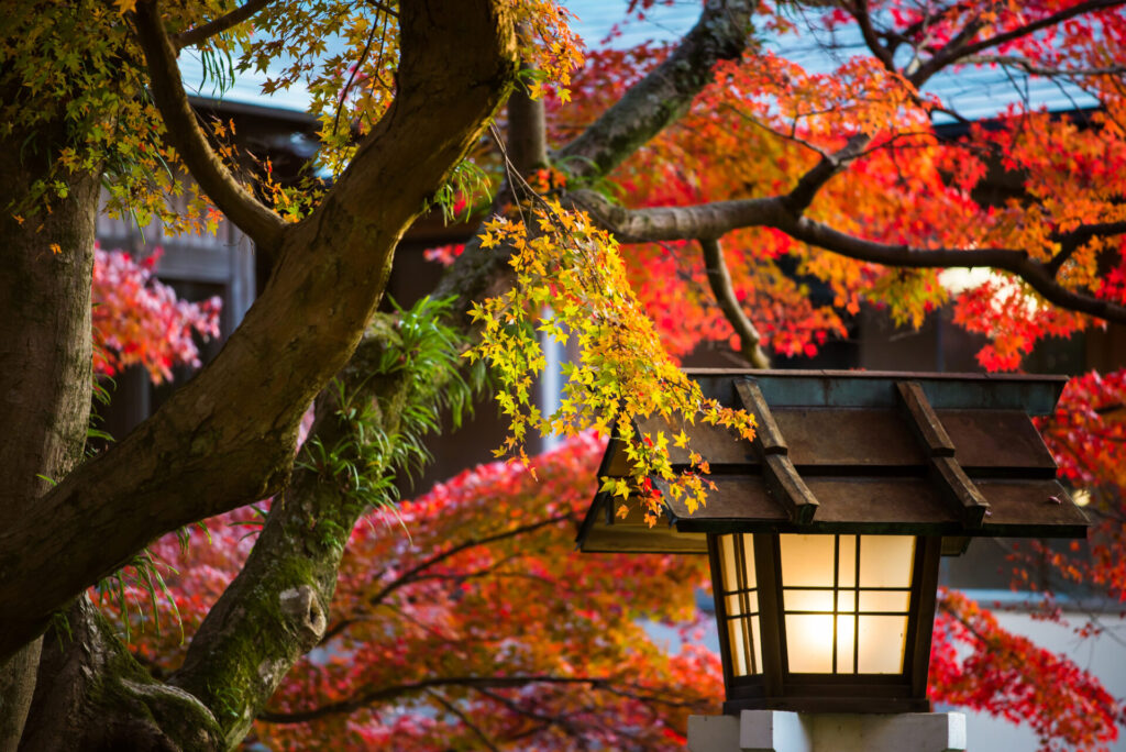 神奈川の紅葉の名所