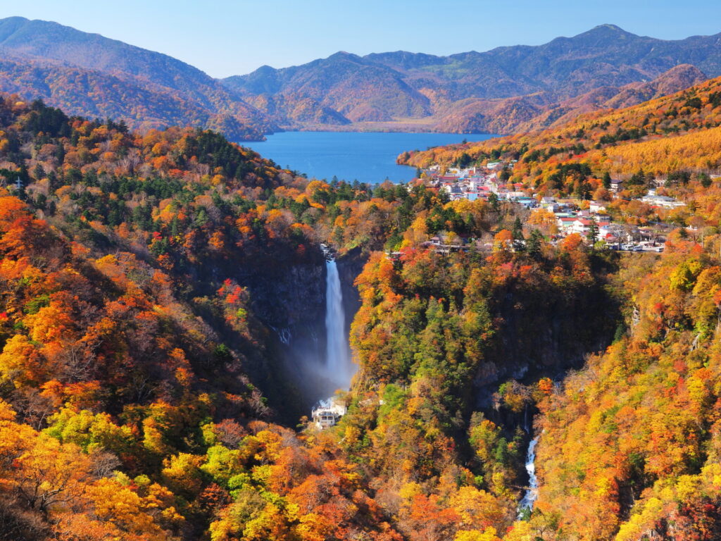 上空から見た秋の禅寺湖