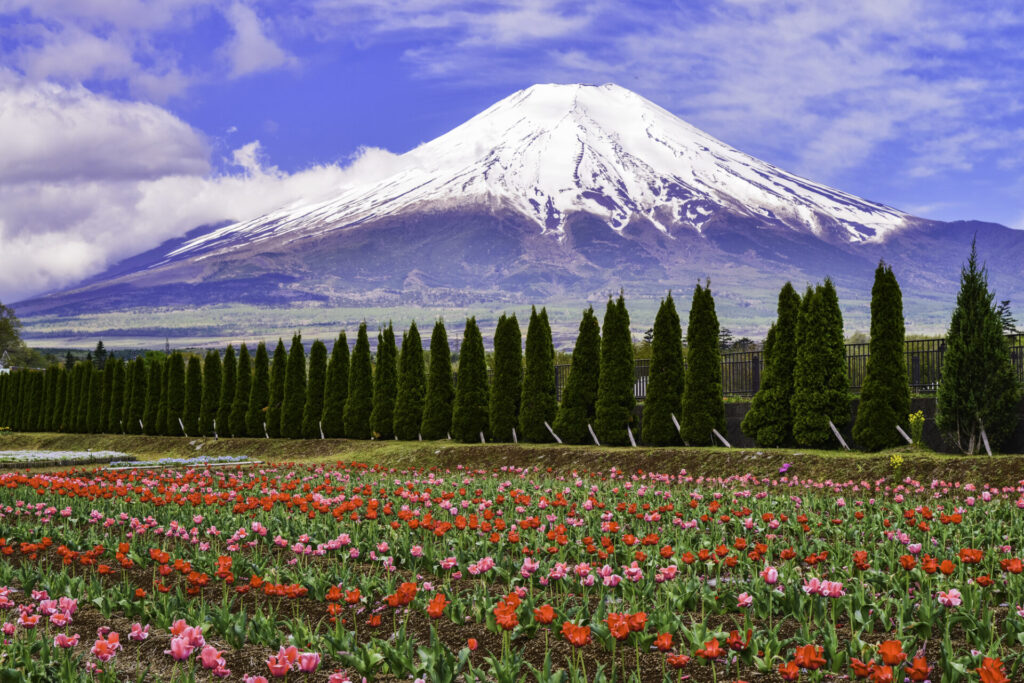 山中湖花の都公園で自然を満喫しよう