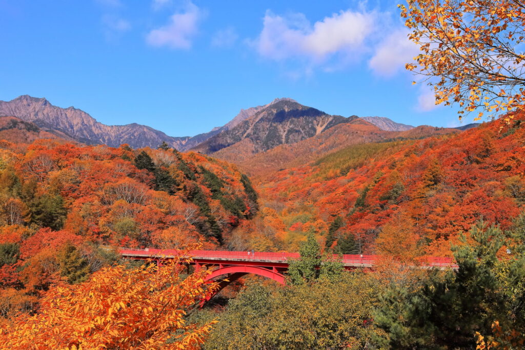 長野県 八ヶ岳にある東沢大橋への行き方