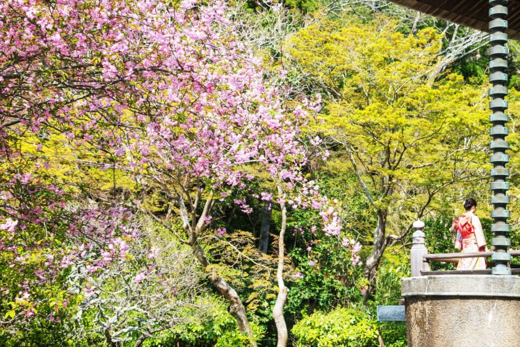 神奈川の鎌倉にある妙本寺への行き方の画像イメージ4